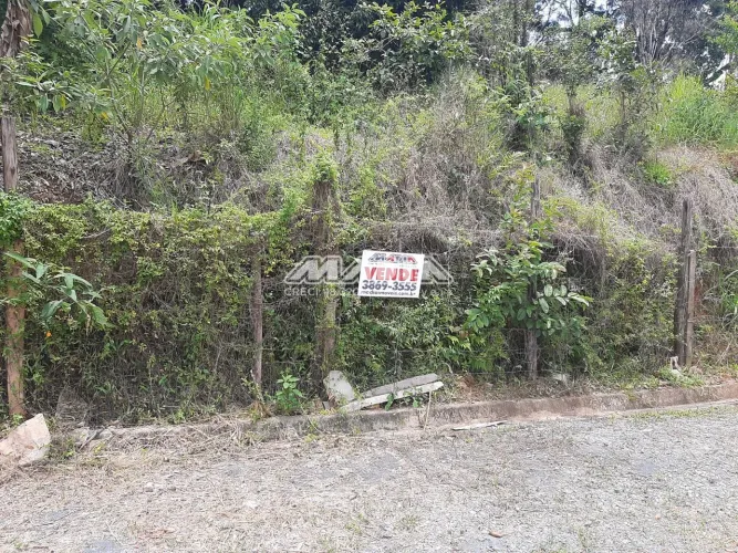 terreno - Santa Cruz - Valinhos