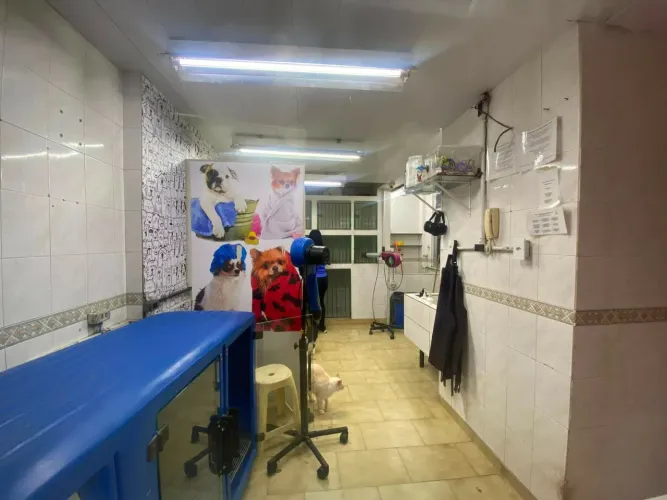 PETSHOP passo ponto