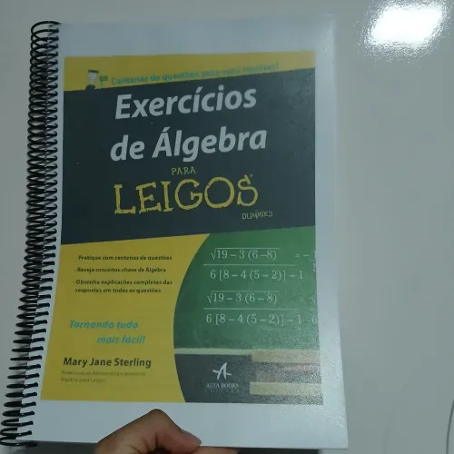 Exercícios de Algebra para Leigos 290 páginas