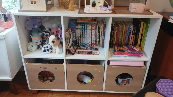 NICHOS ORGANIZADORES BRINQUEDOS