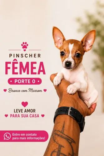 Pinscher micro zero 