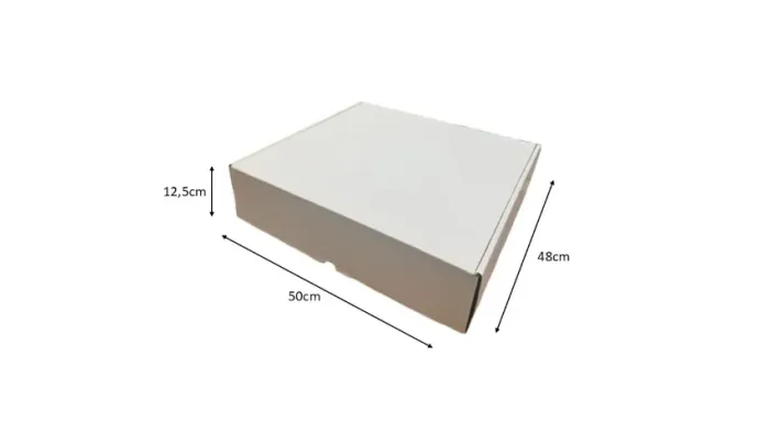 Caixa de Papelão Sedex Branca / Interna Parda 50X47,5X12,5 cm