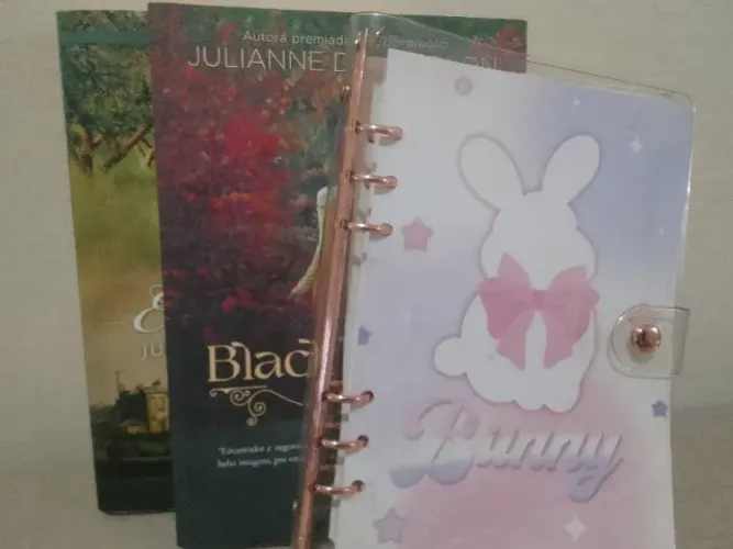 2 Romances de época e um caderninho por $20