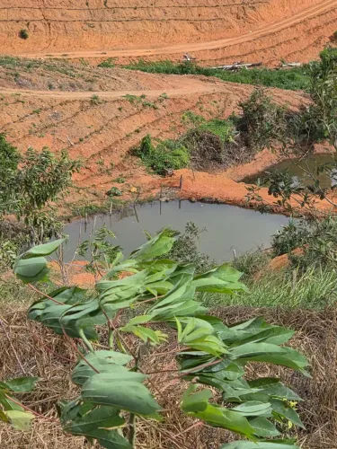 5300m2 nascente tanque de peixe