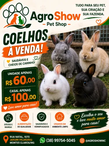 Coelhinhos Fofos Procurando um Novo Lar