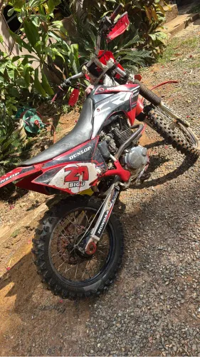 Crf 230