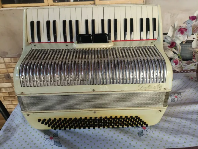 Acordeon sanfona