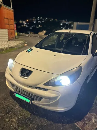 Peugeot 207 XR 1.4 Flex 8V 5P 2012