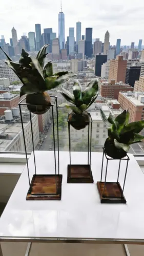 Lindos suportes para kokedamas #decore com elegância