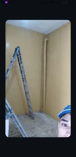 Pintura somente
