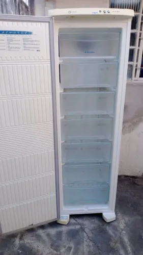 Freezer vertical frost free 110v 
