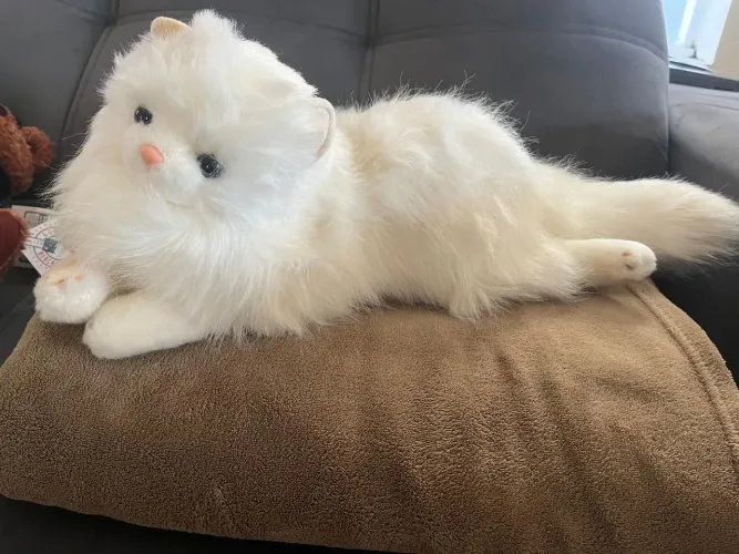 Gato pelúcia realista