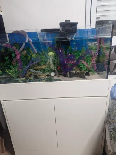 Aquário 98L
