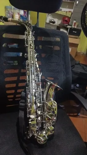 Vende saxofone alto (vem com case e palhetas)