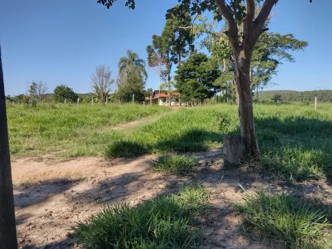 5 Alqueires Casa Simples,Pomar,Ótimo Pasto,Rico em Água,Boa Topografia