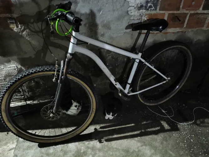 Vendo aro 29