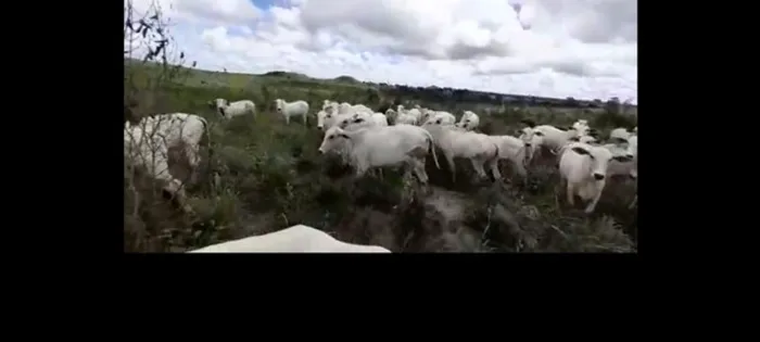R$ 9,2 milhões fazenda no Maranhão pronta e documentada