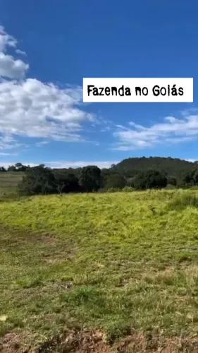 Fazenda 62 Halqueires no Goiás ! 