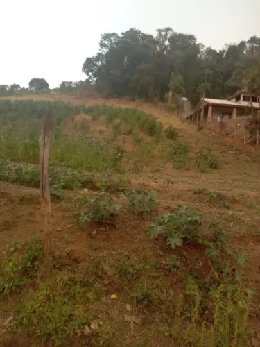 Terreno em Socorro - SP
