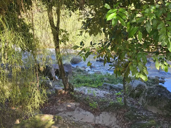 Bicuda Pequena - Área de 4000m2