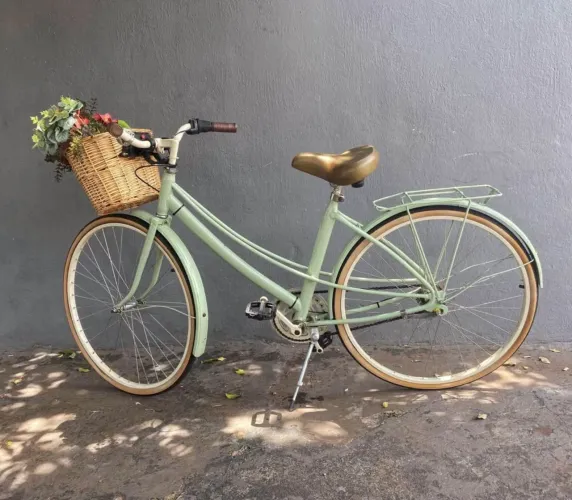 Bicicleta Ceci 80 