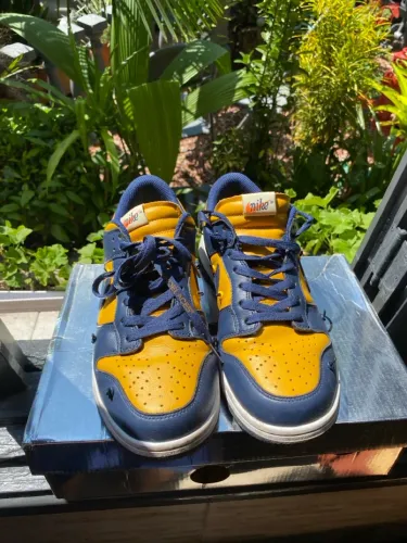 Nike Dunk Low Off White Michigan 