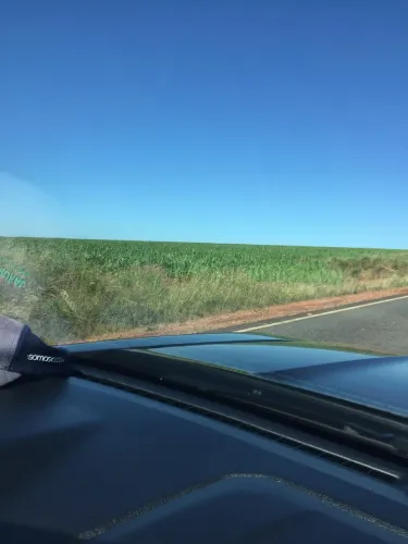 Fazenda 44 alq de lavoura na região de Anicuns - GO