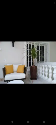 Pata de elefante 1.70 alt vaso e pratinho