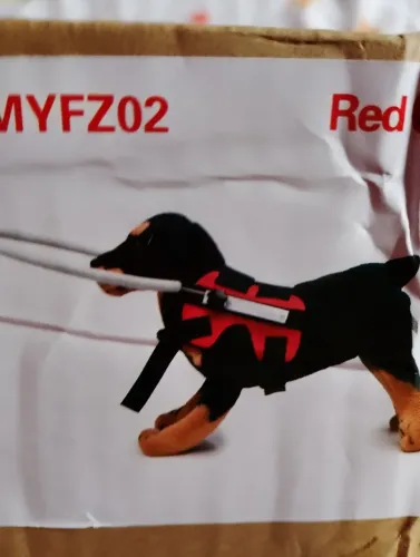 Coleira para cachorro cego ?