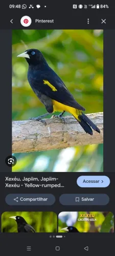 Gaiola