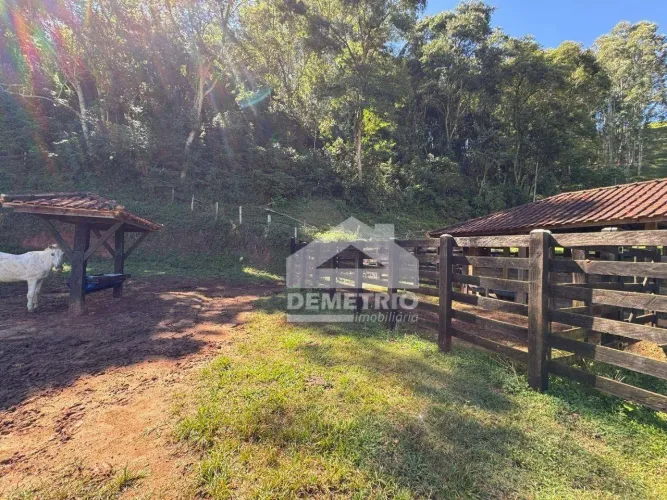 Sítio à venda-Pedra Branca - Cunha/SP