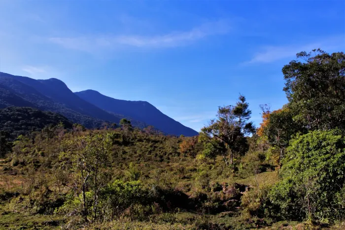 Campina Grande do Sul, Capivari, 2.847,15 Hectares, 1.176,50 alqueires, Fazenda à venda, Z