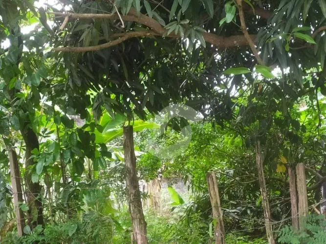 Terreno à venda, 600 m² por R$ 90.000,00 - Itaborai - Itaboraí/RJ