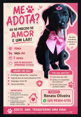 Adoção Responsável 