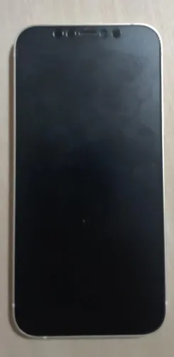 iPhone 12