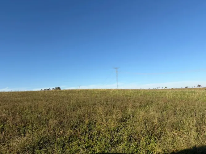 Fazenda em sacramento altitude pra café