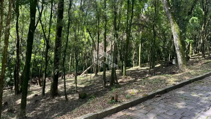 Terreno com 2556m² Linha 40 no Bairro Nossa Senhora da Saúde em Caxias do Sul