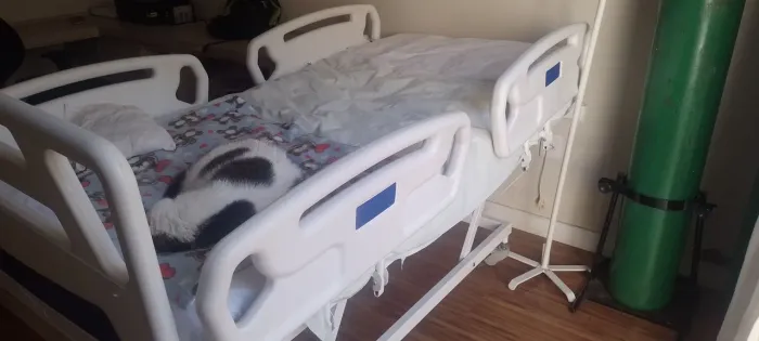 Cama hospitalar automática