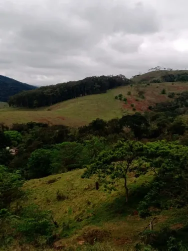 Terreno 10.000m² há 500m da rua