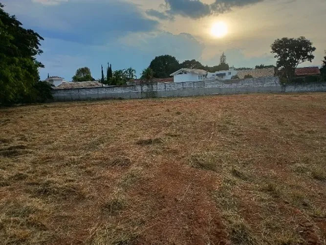 Roçagem terrenos com trator