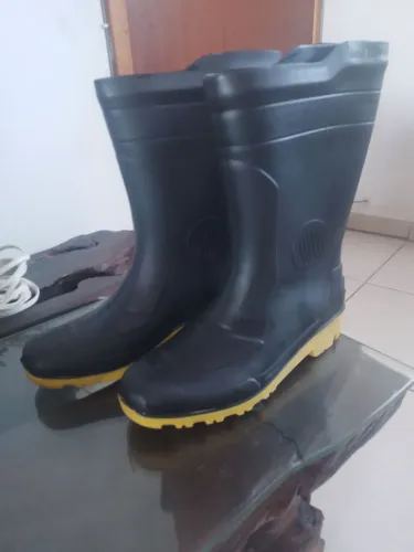 Bota