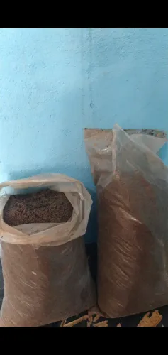 Terra preta para planta