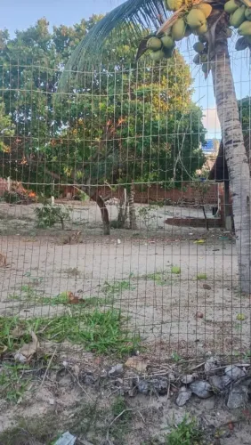 TERRENO A VENDA.