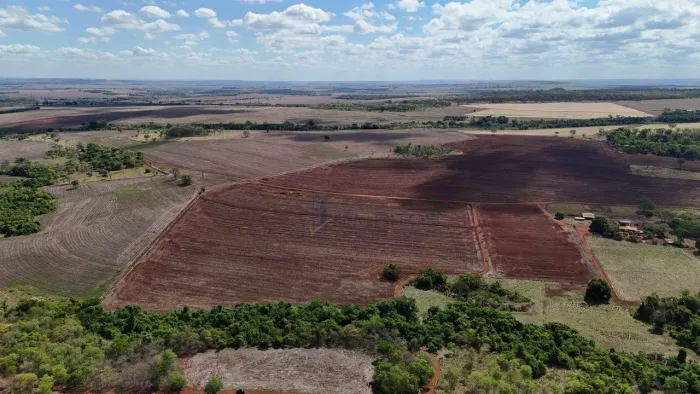 Fazenda em Itumbiara com 56,5 alqueires Dupla aptidão