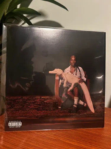 LP Doechi - Alligator Bites Never Heal (vinil dourado/com pôster)
