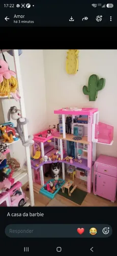 Casa da Barbie com acessorios.