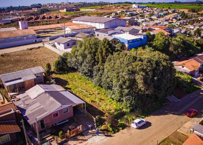 OPORTUNIDADE DE INVESTIMENTO EM CURITIBANOS