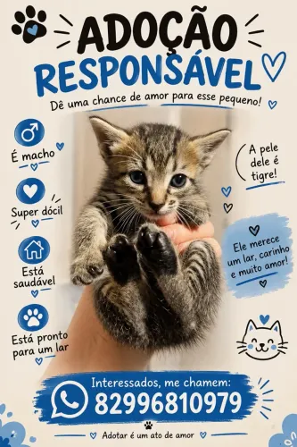 Adoção responsável