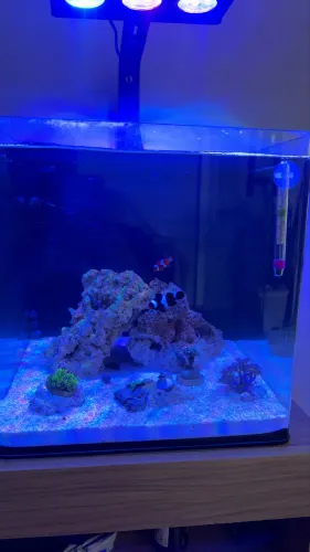Aquário Curvo OceanTech - Marinho ou Água Doce - 35L 