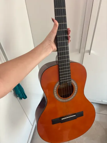 Viola caipira